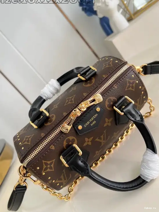 Trunk Speedy Vuitton Louis 20 0404